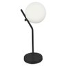 Abajur Luminária De Mesa Aro Jabuticaba Globo Orby Preto - 2