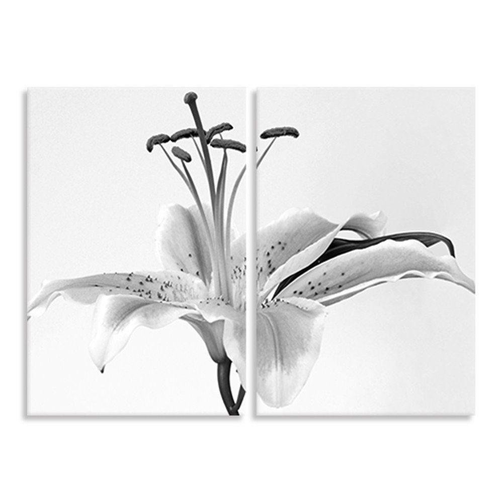 Kit 2 Telas Decorativas Lírio Branco - 1