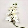 Orquídea Branca Phalaenopsis Artificial 97x17cm Toque Real - 5