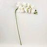 Orquídea Branca Phalaenopsis Artificial 97x17cm Toque Real - 2