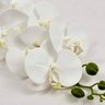 Orquídea Branca Phalaenopsis Artificial 97x17cm Toque Real - 6
