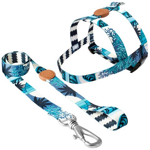 Conjunto Peitoral Tradicional e Guia Pp Azul Noronha