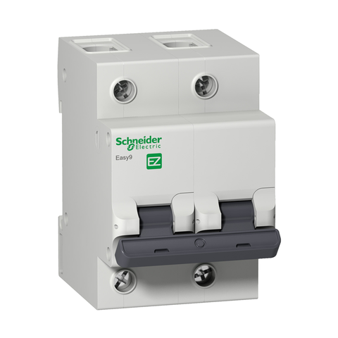 Disjuntor Bipolar 70A Curva C EASY9 - SCHNEIDER (EZ9F33270)
