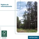 Ver mais imagens de Mesa de Jantar 6 Lugares 160x93,4cm Club 