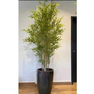 Kit 10 Haste Galhos Bambu Bamboo da Sorte 150cm Artificiais