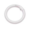 Lâmpada Fluorescente Circular Redonda 22 W 127 V - Tashibra - 1