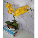 Ver imagem 2 de Arranjo Com 2 Orquídeas Amarela Vaso Prata 22cm