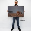 Ver imagem 2 de Quadro Decorativo em Canvas Elefante na Savana - Chassi - 90 x 60cm