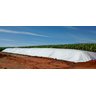 Lona Silagem Dupla Face Branca/Preta 6x50m - 39kg - 6x45 - 7