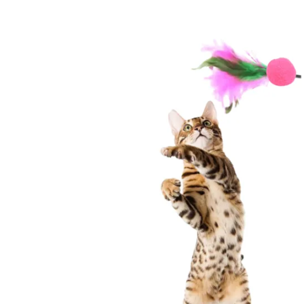 Brinquedo Varinha com Bolinha e Penas para Gato: Lilás