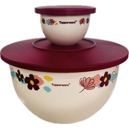 Tupperware Kit 2 Peças Tigelas Murano Flores Ao Vento Kit 2 Peças Tigelas Murano Flores Ao Vento - 1