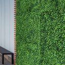 Ver imagem 1 de Kit 16 Painéis Buxinho Artificial Decorativo para Parede Verde de Alta Qualidade