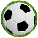 Ver imagem 1 de Capa de Sousplat Bola de Futebol