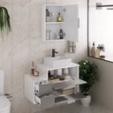 Ver imagem 2 de Conjunto Gabinete Banheiro Nivus 80cm (armário + Cuba + Espelheira) Branco / Cinza