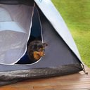 Ver imagem 3 de Barraca Iglu Luna 4 Pessoas Acampamento Camping Mor