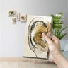 Rosto em Foco - Quadros ou Placas Modulares com 4 Peças - 3