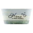 Ver imagem 1 de Kit 8 Mini Vasos de Planta Cachepot Estampados Decorados 9cm