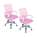 Ver imagem 1 de Kit 2 Cadeiras de Escritório Begonia Mesh Ergonômico Rosa + E-book
