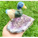 Ver imagem 2 de Ave - Minerais Variados e Base de Ametista | P31 Geologia Br