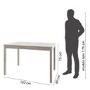 Ver imagem 2 de Mesa de Madeira Maciça com 4 Cadeiras Mandacaru CabeCasa MadeiraOriginals