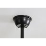 Ventilador de Teto Aliseu Lótus Bivolt Preto com Controle Remoto - 13