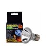 Kit Lâmpada 5.0 220v 50w Temporizador Analógico Terrario Halogen Bulb - 4