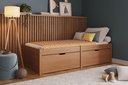 Ver imagem 1 de Cama Solteiro 2 Gavetas Madeira Maciça Beauty Marrom/Amêndoa
