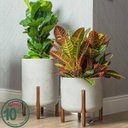 Ver imagem 3 de Vaso Cilíndrico Decore 34 (28l) Cimento Queimado Japi