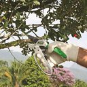 Ver imagem 2 de Tesoura para Poda com Catraca Ts-3130-1a - 3936011 - Trapp