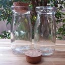 Ver imagem 3 de Kit 6 Porta Temperos de Vidro 200ml com Tampa de Rolha Lyor para Decorar e Guardar Especiarias