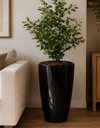 Ver imagem 4 de Vaso de Fibra de Vidro Roma m 70cm Decorativo Preto