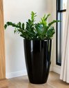 Ver imagem 5 de Vaso de Fibra de Vidro Roma m 70cm Decorativo Preto