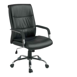 Conjunto de Poltronas Diretor Estofada (107p) - Hosana - 2914 - 3