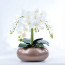 Ver imagem 1 de Arranjo 6 Orquídeas Artificiais Brancas Em Vaso Cobre