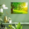 Quadro Natureza Bela -- Br Artes - 3