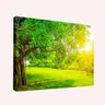 Quadro Natureza Bela -- Br Artes - 1