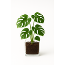 Ver imagem 3 de Vaso Decorativo Transparente de Melamina Antiquebra Tamanho:15x15