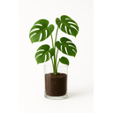 Ver imagem 5 de Vaso Decorativo Transparente de Melamina Antiquebra Tamanho:15x15