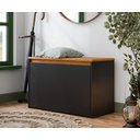 Ver imagem 1 de Sapateira Charme com Porta Basculante para Hall de Entrada ou Quarto - Preto com Freijó