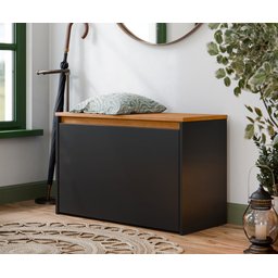 Sapateira Charme com Porta Basculante para Hall de Entrada ou Quarto - Preto com Freijó - 1