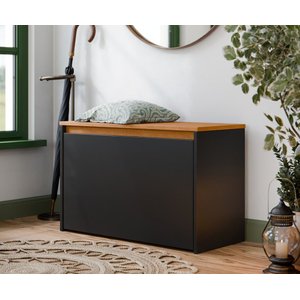 Sapateira Charme com Porta Basculante para Hall de Entrada ou Quarto - Preto com Freijó