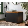 Sapateira Charme com Porta Basculante para Hall de Entrada ou Quarto - Preto com Freijó - 1