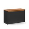Sapateira Charme com Porta Basculante para Hall de Entrada ou Quarto - Preto com Freijó - 3