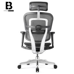 Cadeira Ergonomica modelo Ergohuman v1 - 4