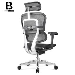 Cadeira Ergonomica modelo Ergohuman v1 - 6