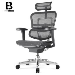 Cadeira Ergonomica modelo Ergohuman v1 - 2