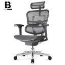 Ver imagem 2 de Cadeira Ergonomica modelo Ergohuman v1