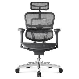 Cadeira Ergonomica modelo Ergohuman v1 - 1