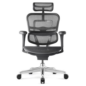 Cadeira Ergonomica modelo Ergohuman v1