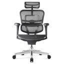 Ver imagem 1 de Cadeira Ergonomica modelo Ergohuman v1